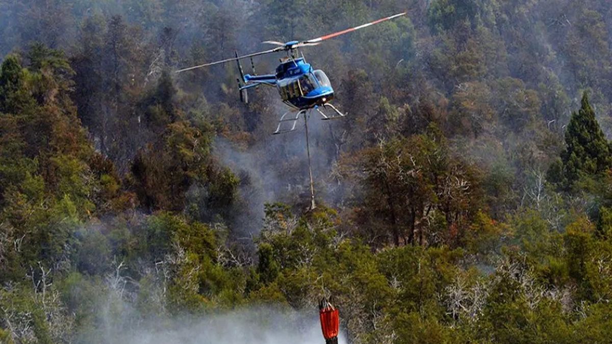 Neuquén prorroga la emergencia ígnea por un año en medio de incendios forestales | Digital