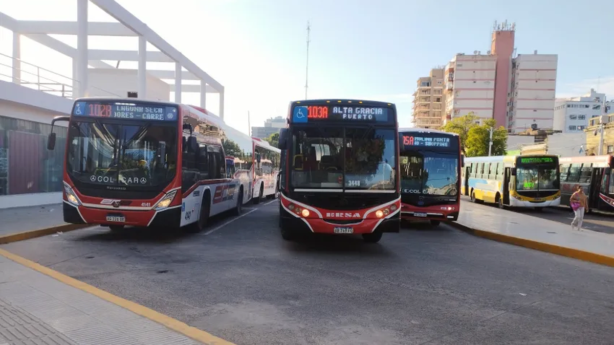 Crisis del transporte en las provincias: advierten que el 80% de las empresas tiene problemas para pagar sueldos | Digital