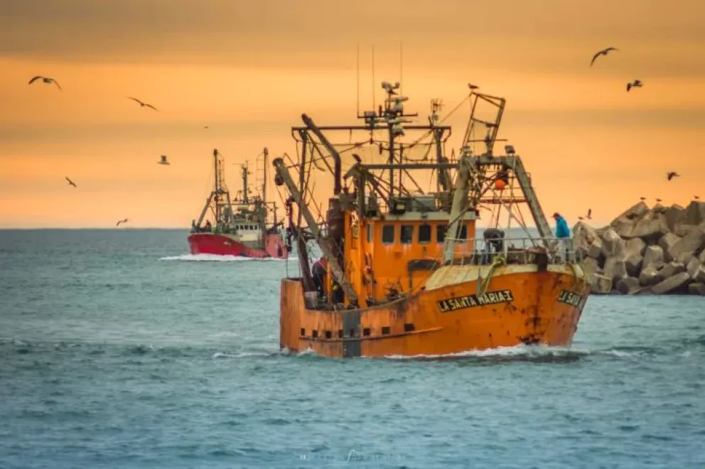 Torres presentará una reforma a la Ley de Pesca provincial impulsando “Ficha Limpia Pesquera” en la legislatura | Digital